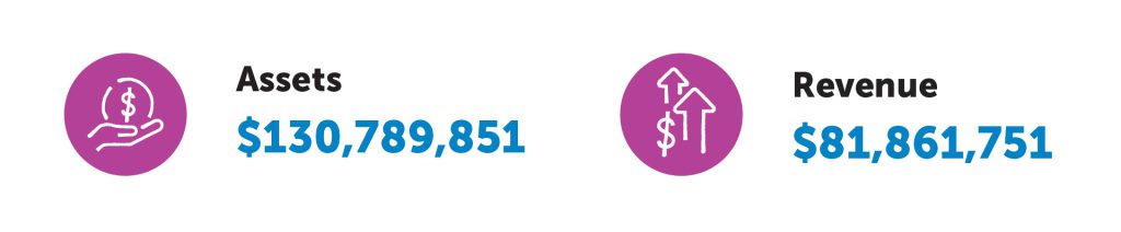 Assets: $130,789,851. Revenue: $81,861,751.