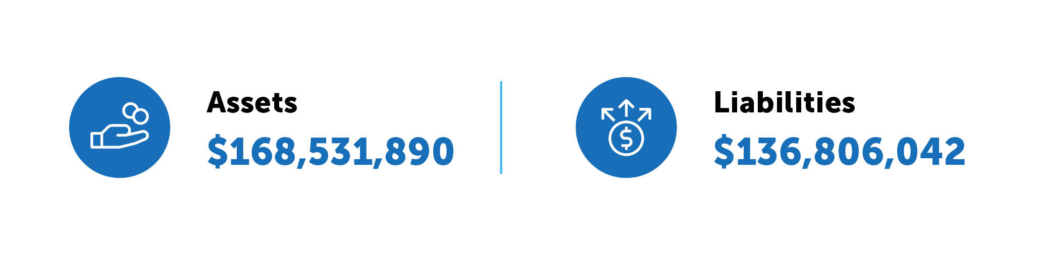 Assets: $168,531,890. Liabilities: $136,806,042.